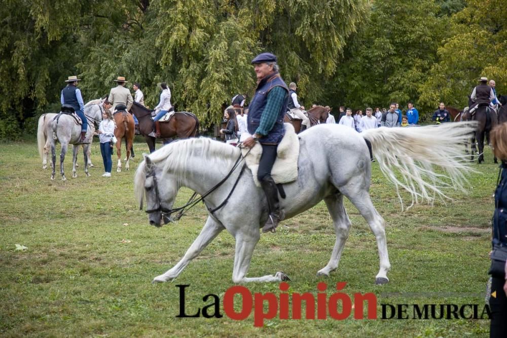 Romería del Bando de los Caballos del Vino de Cara