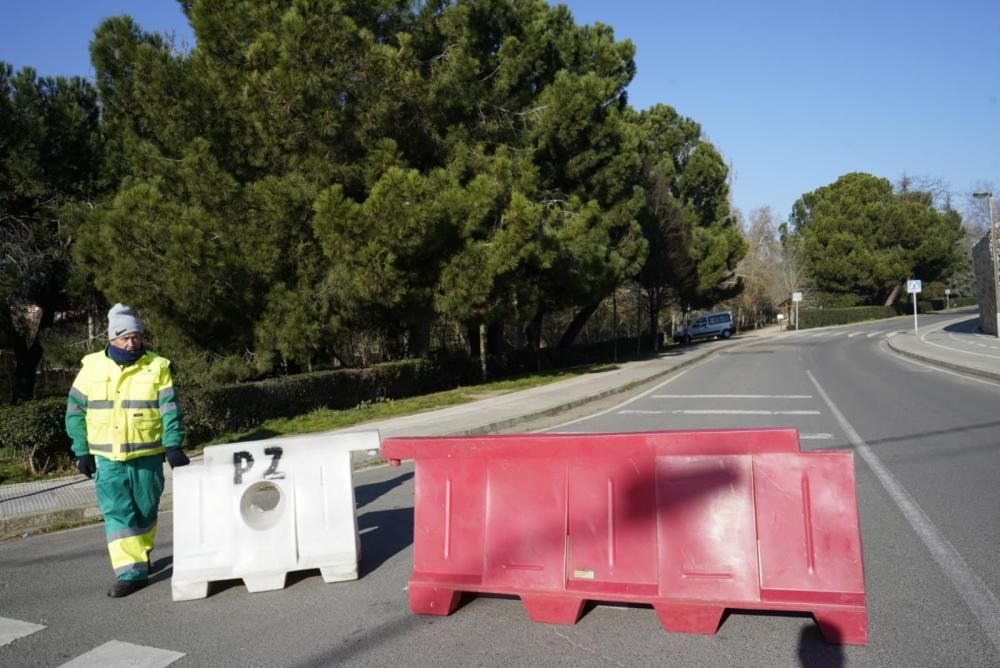 El tratamiento contra la procesionaria arranca en Zamora