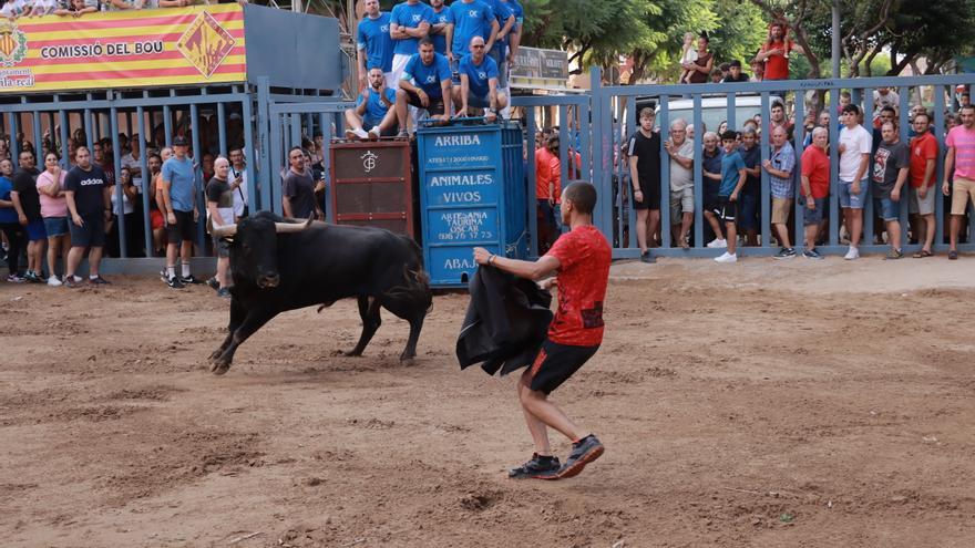 El cartel taurino de Vila-real contará con once astados cerriles