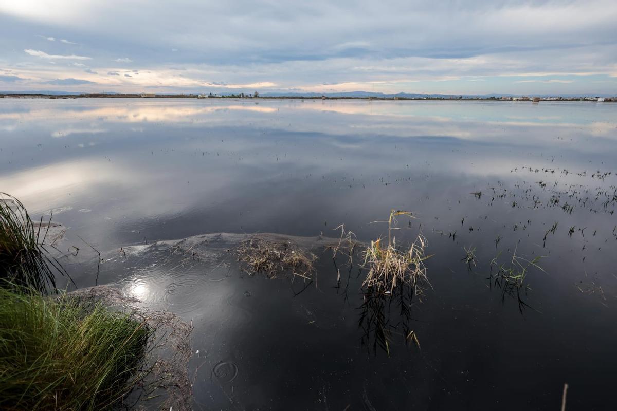 Panorámica del humedal con uno de los puntos donde han aparecido aguas negras por la pudrición de la paja del arroz tras las lluvias.
