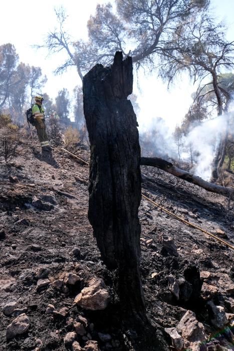 El fuego se inició a última hora de ayer miércoles y ha estado activo toda la noche.