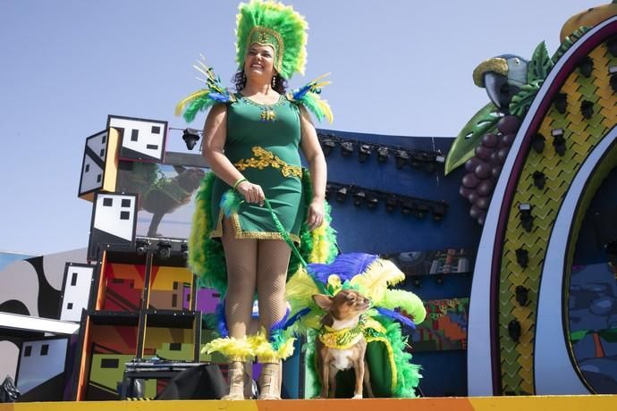 24.02.19. Las Palmas de Gran Canaria. Carnaval 2019. Concurso Carnaval Canino 2019. Francisco Javier Acosta Santana, presenta aNala, con la fantasía "Bailando entre tucanes". Foto Quique Curbelo