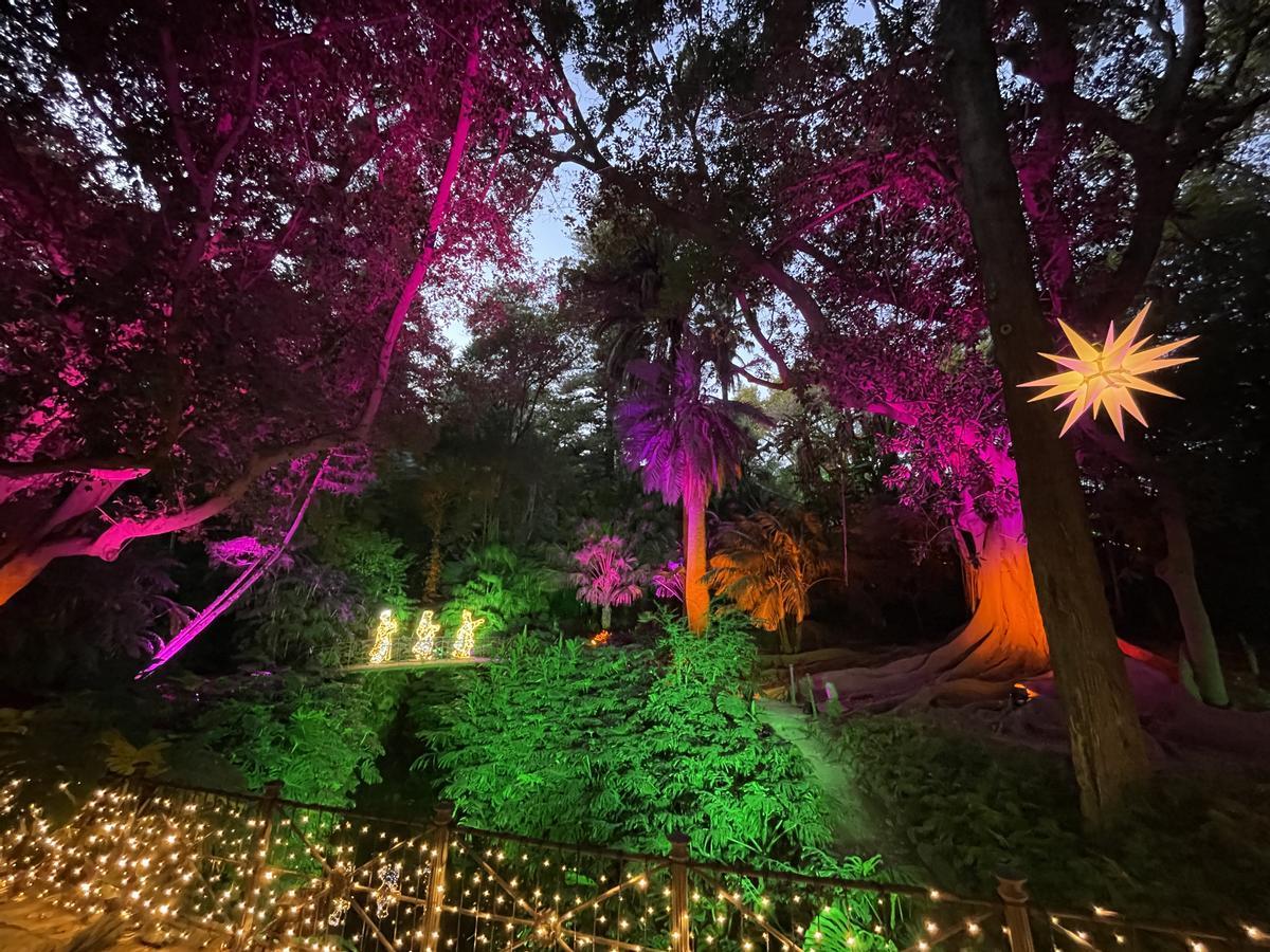 El Jardín Botánico Histórico La Concepción enciende sus luces de Navidad