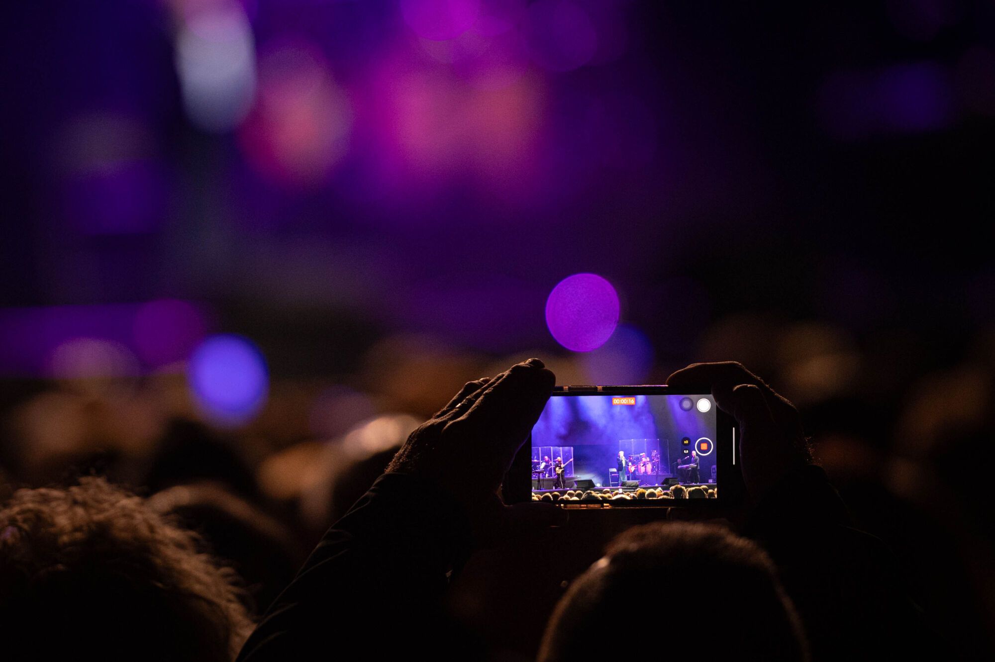 El Puma, en concierto en Tenerife