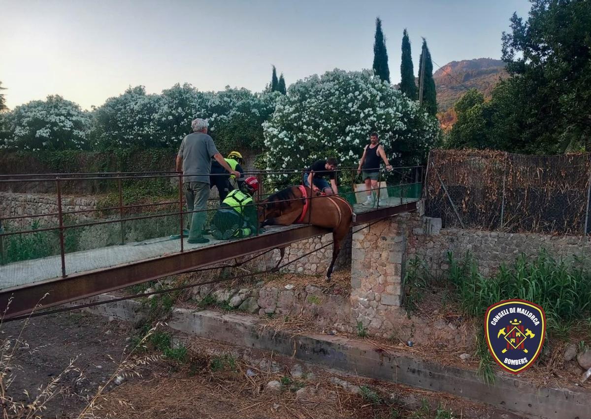 Los bomberos rescatan a un caballo atrapado en un puente en Sóller
