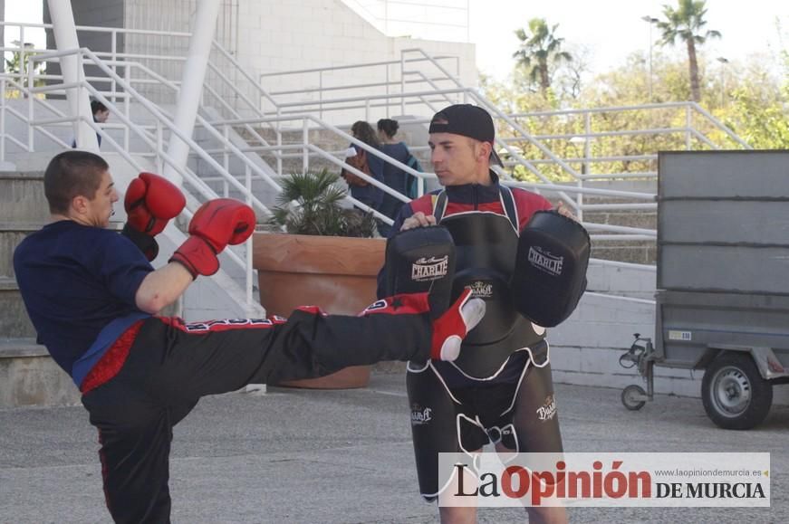 Fiesta del Deporte de Murcia (domingo)