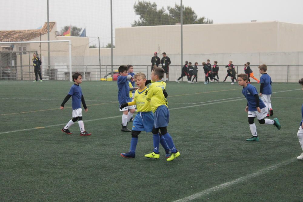 Torneo de Pascua de Cala d'Or, categoría prebenjamín.