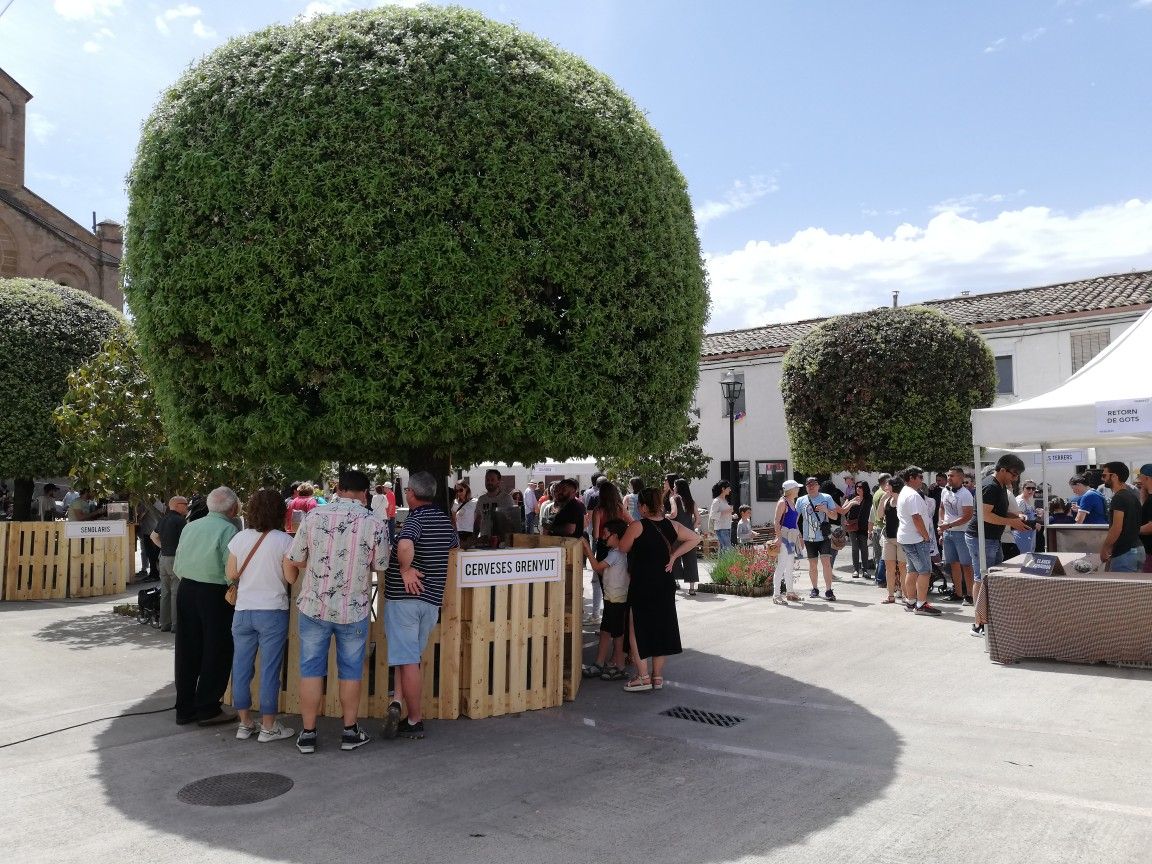 L’Ametlla de Merola destaca la projecció que li atorga la Vieer Fest