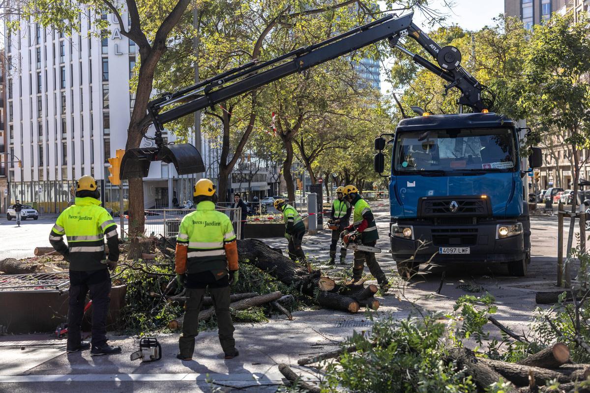 "El Govern actuó bien enviando la alarma por el vendaval"