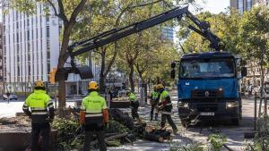 "El Govern actuó bien enviando la alarma por el vendaval"