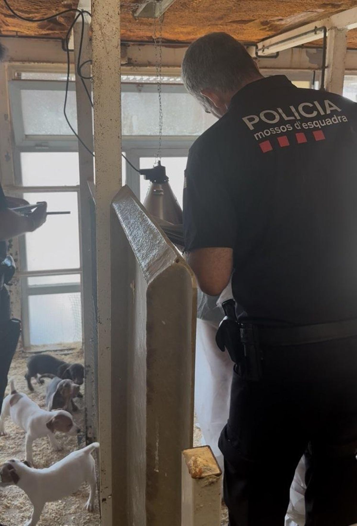Un moment de la inspecció policial al centre caní del Bages.