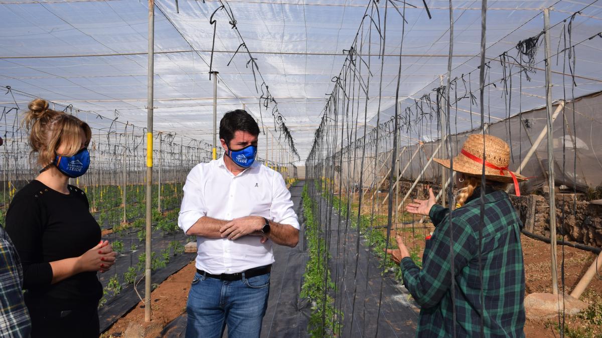 El Ayuntamiento abre el plazo para solicitar las ayudas al sector primario del municipio