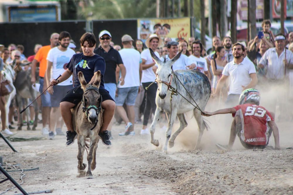 Carrera de burros y asnos y exhibición canina en D