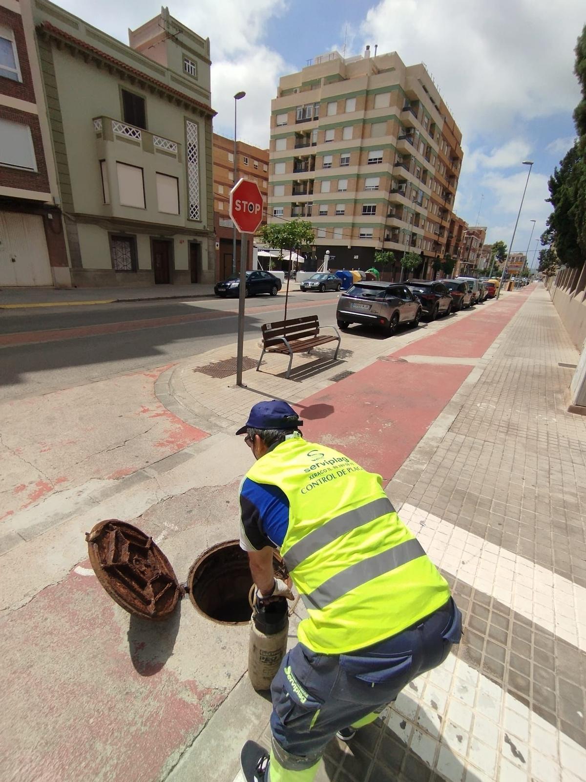 Una actuació en el marc de la desratització i la desinsectació al voltant de Nules.