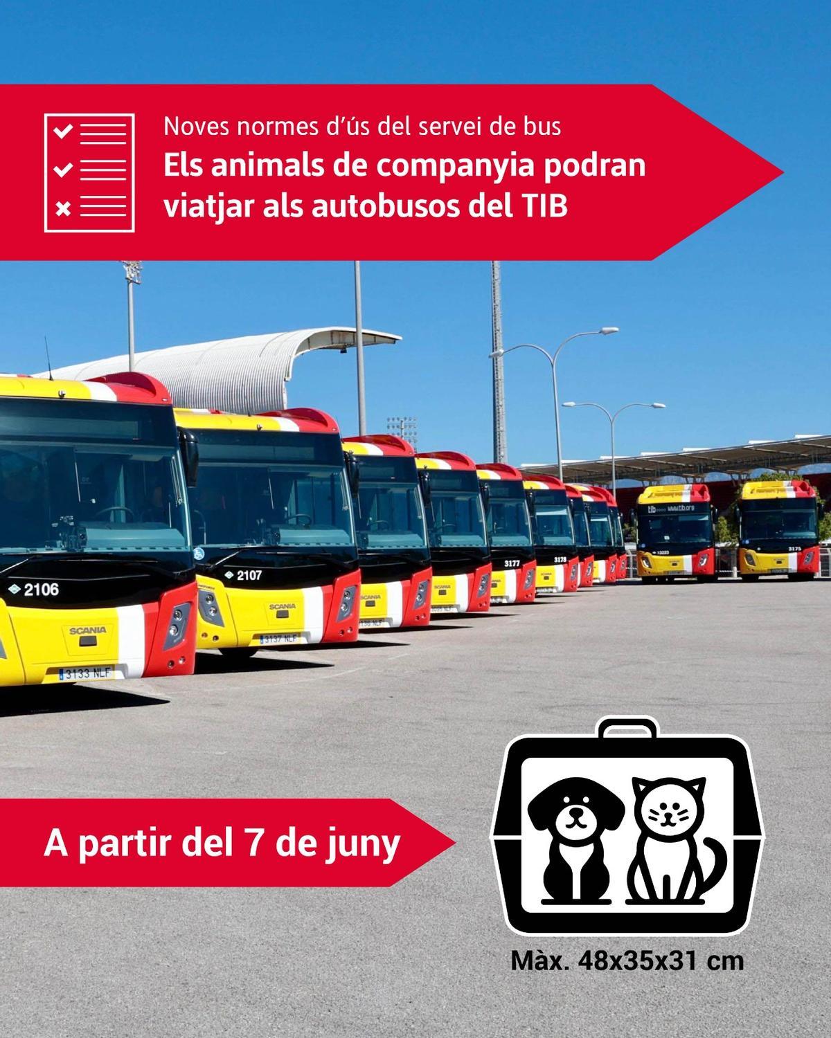 Cartel de las nuevas normas para que las mascotas viajen en el TIB.