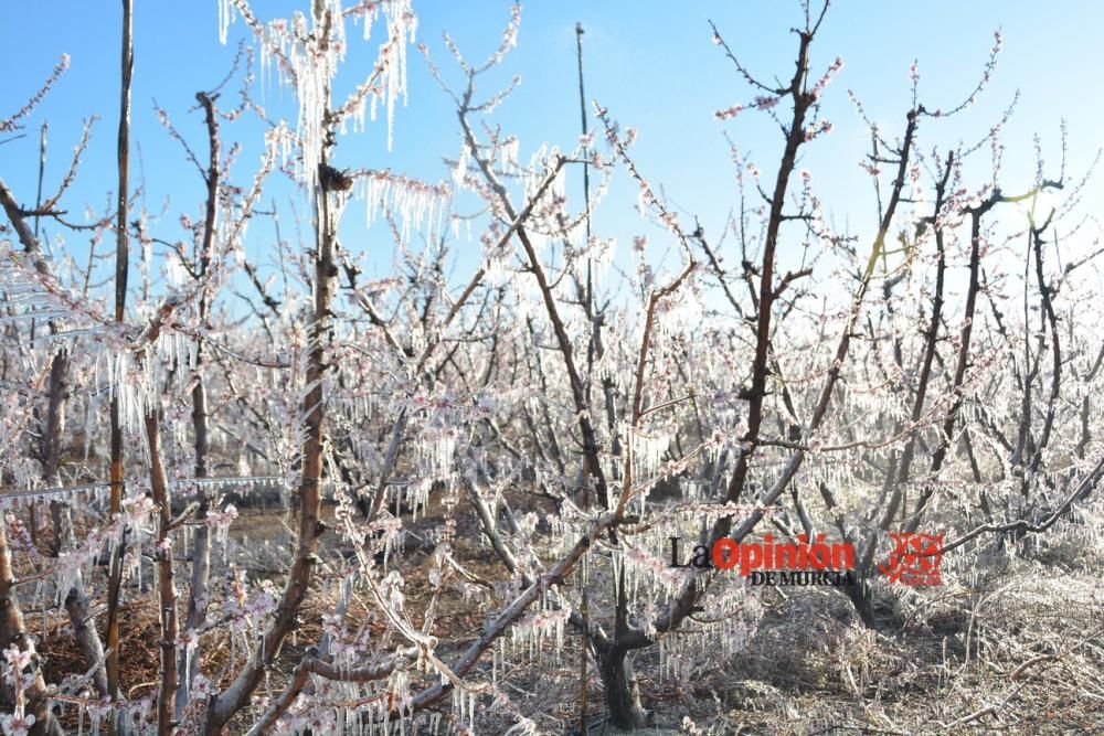 Helada en Cieza 9 de febrero de 2018