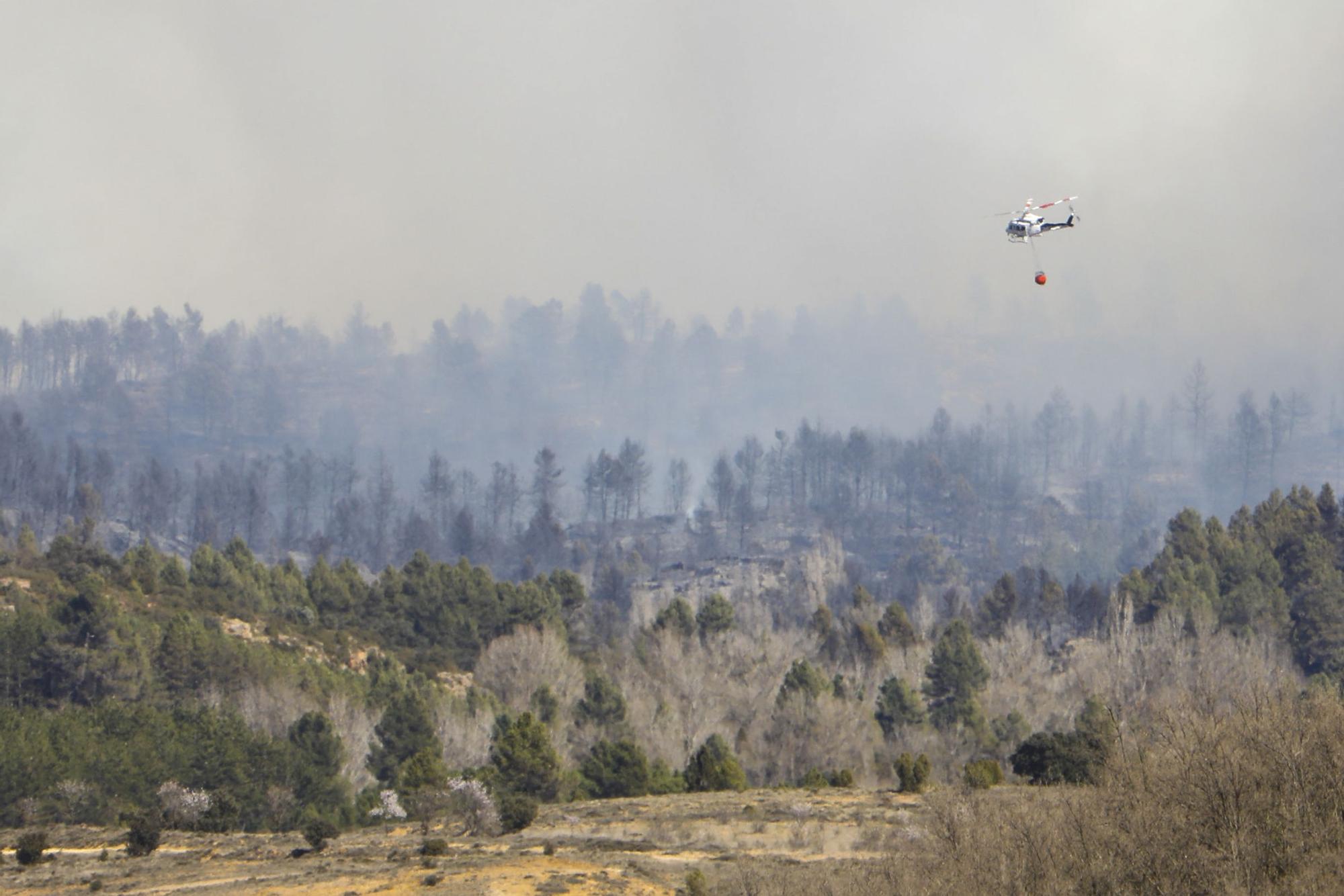 Incendio forestal en Villanueva de Viver