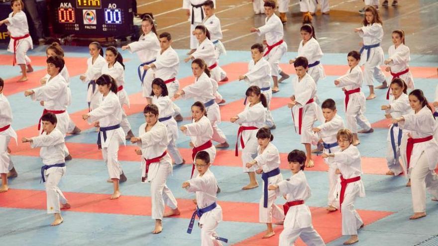 Una exhibición de kárate en el Palacio de los Deportes de Oviedo.