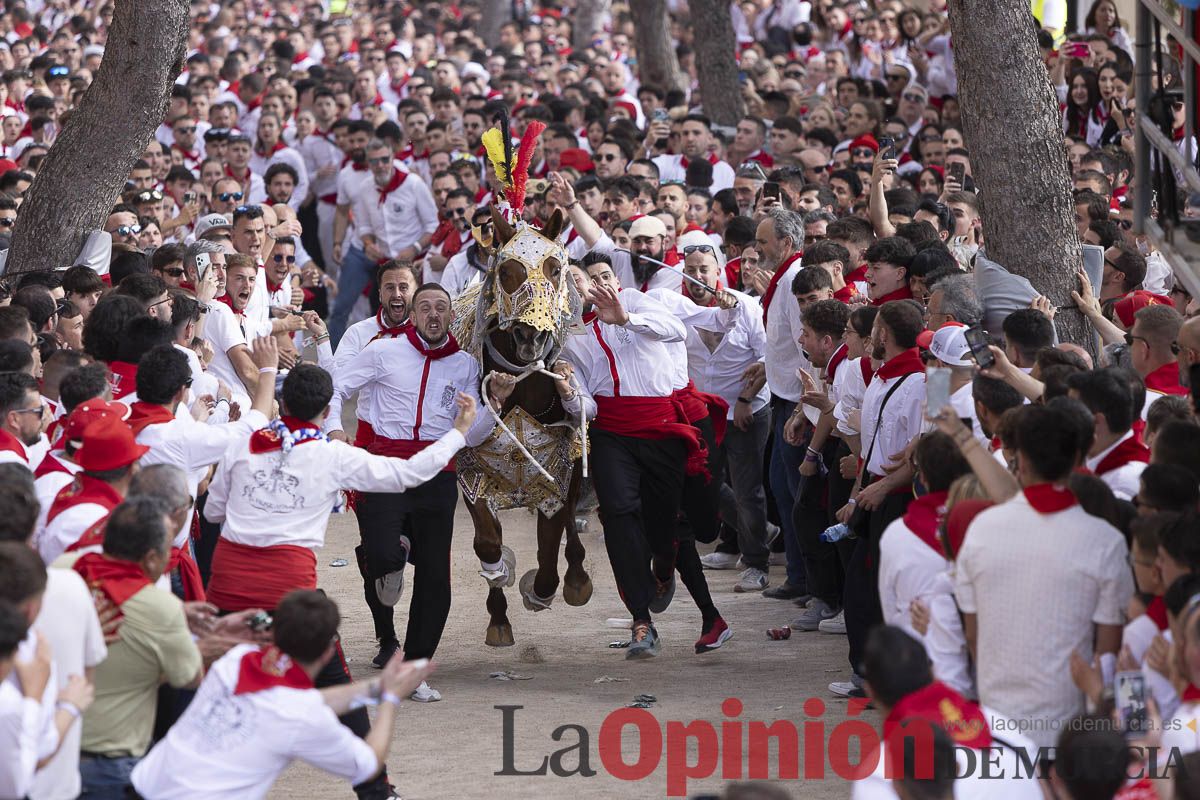 Así se ha vivido la carrera de Los Caballos del Vino en Caravaca