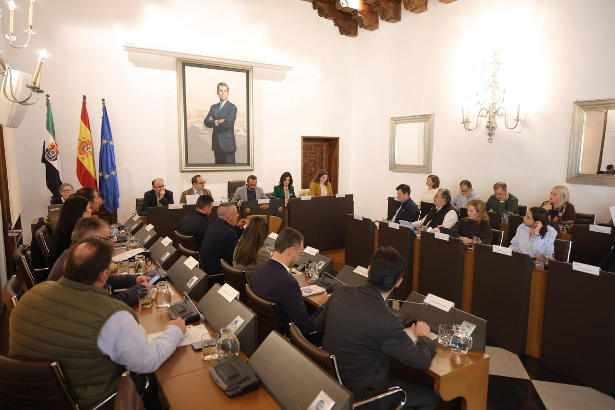 FOTOGALERÍA | El último pleno del año de la Diputación de Cáceres, en imágenes