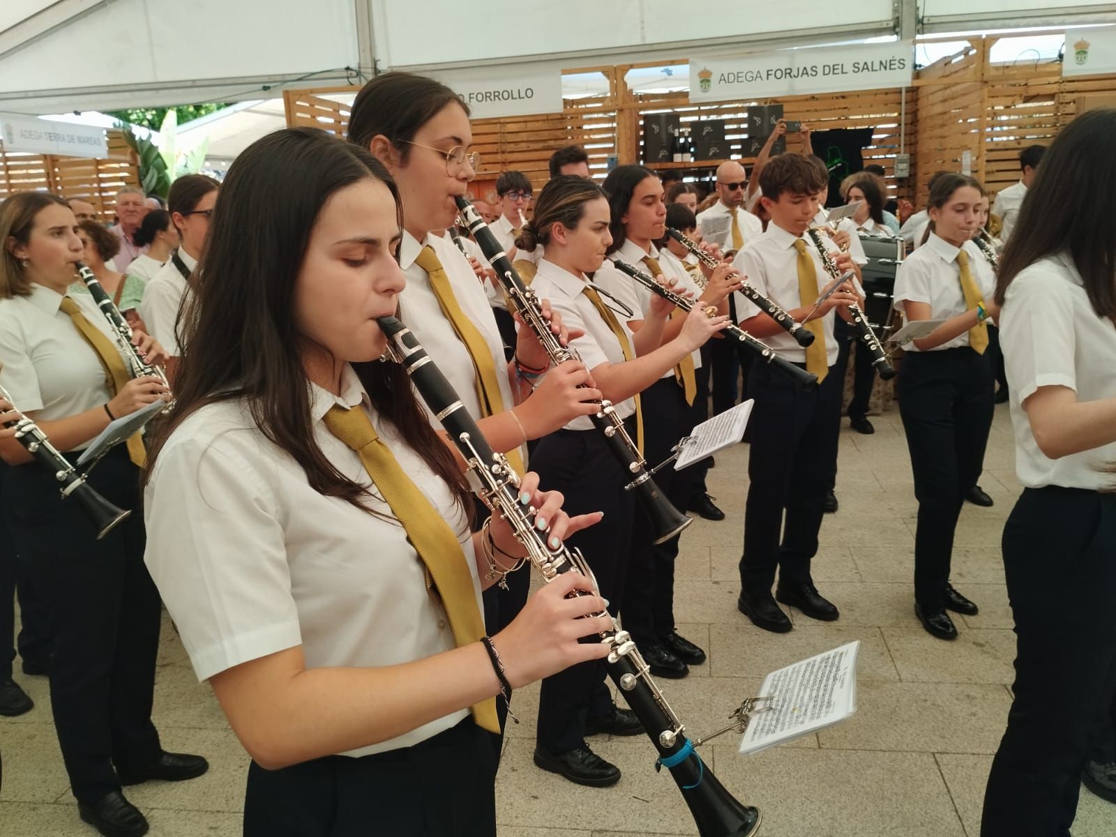 Asistentes a los actos de la Festa do Viño de Meaño.