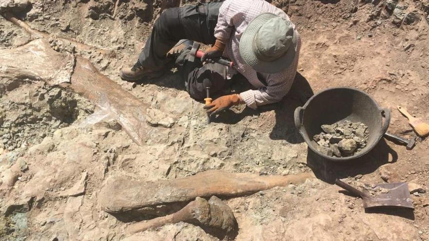 Descubren en Morella restos de un dinosaurio de unos 10 metros de altura y 20 de longitud