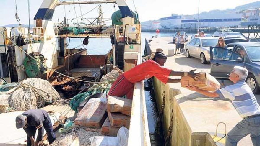 Marineros de uno de los cefalopoderos descargan el barco a su llegada al puerto de Marín.  // Gustavo Santos