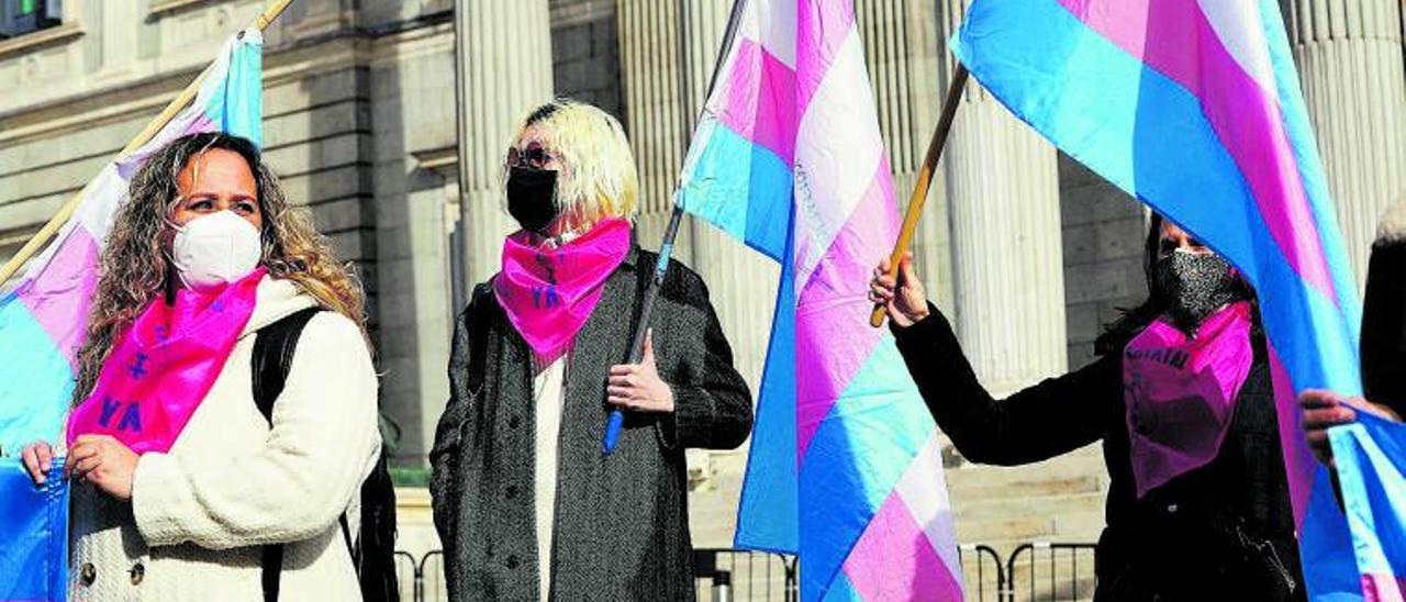 Un grupo de activistas trans se concentra con banderas ante el Congreso, ayer.