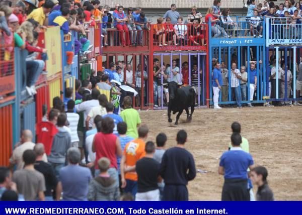 PRIMERA JORNADA DEL CONCURSO DE GANADERÍAS. LA VILAVELLA 2009.