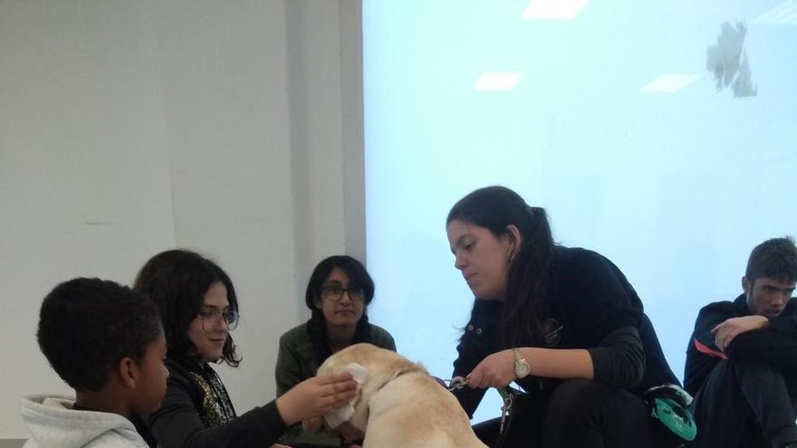 Alumnes en una de les sessions de caninoteràpia