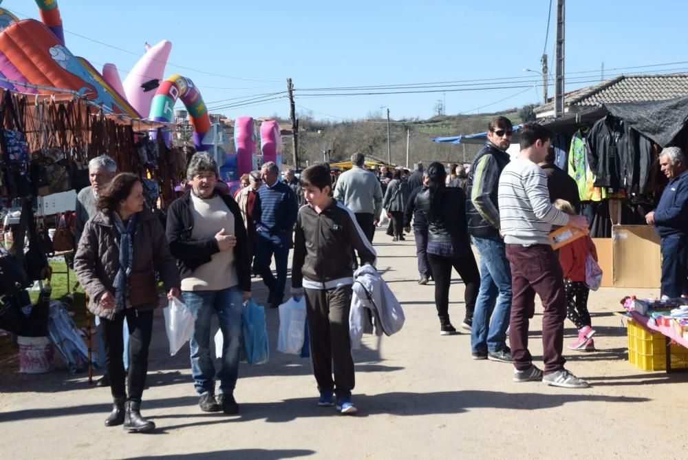 Feria del Burro y romería en San Vitero de Aliste