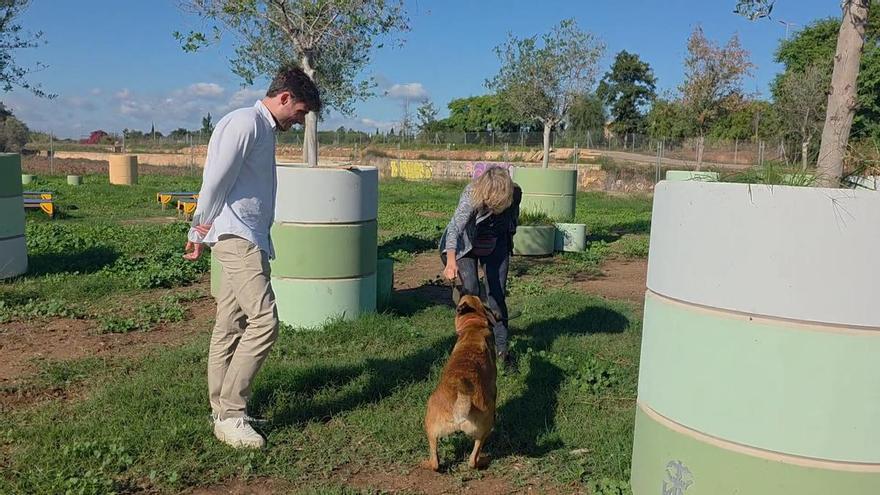 Así es la reforma del centro de acogida de animales en Benimàmet