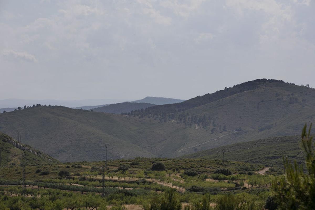 Andilla y Oset: Diez años después del incendio