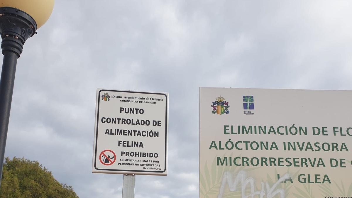 El cartel que prohíbe la alimentación de gatos en Aguamarina