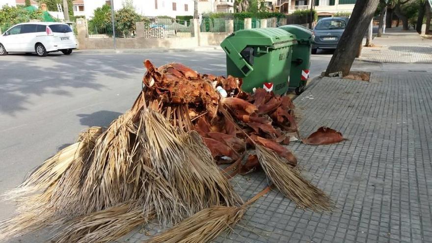 Restos de poda en la calle, una de las principales infracciones.