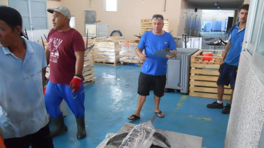 Imbarcazioni italiane scaricano 22 tonnellate di pesce spada a Vinaròs