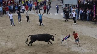 Moncofa estrena temporada taurina con un cerril de El Torero por San Isidro