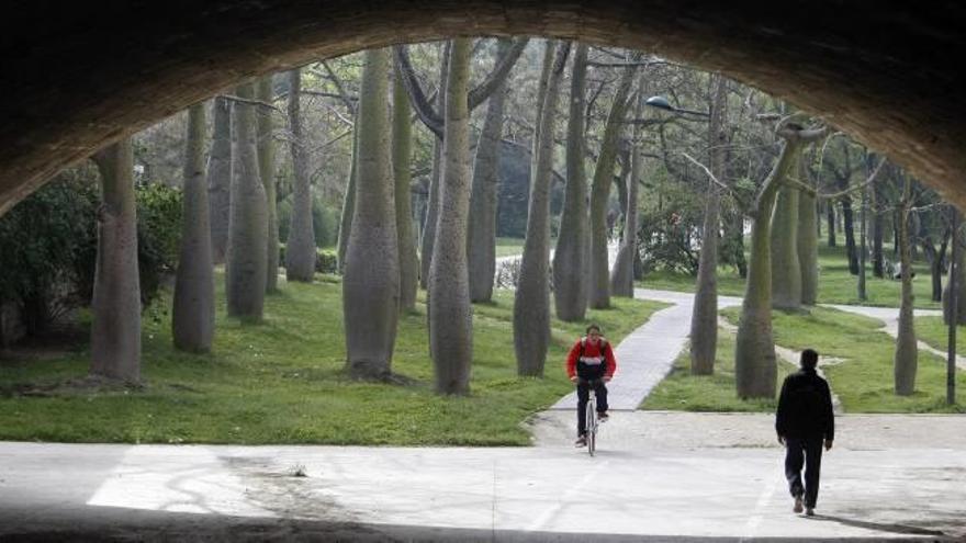 El nuevo gobierno municipal mantiene las cámaras del río