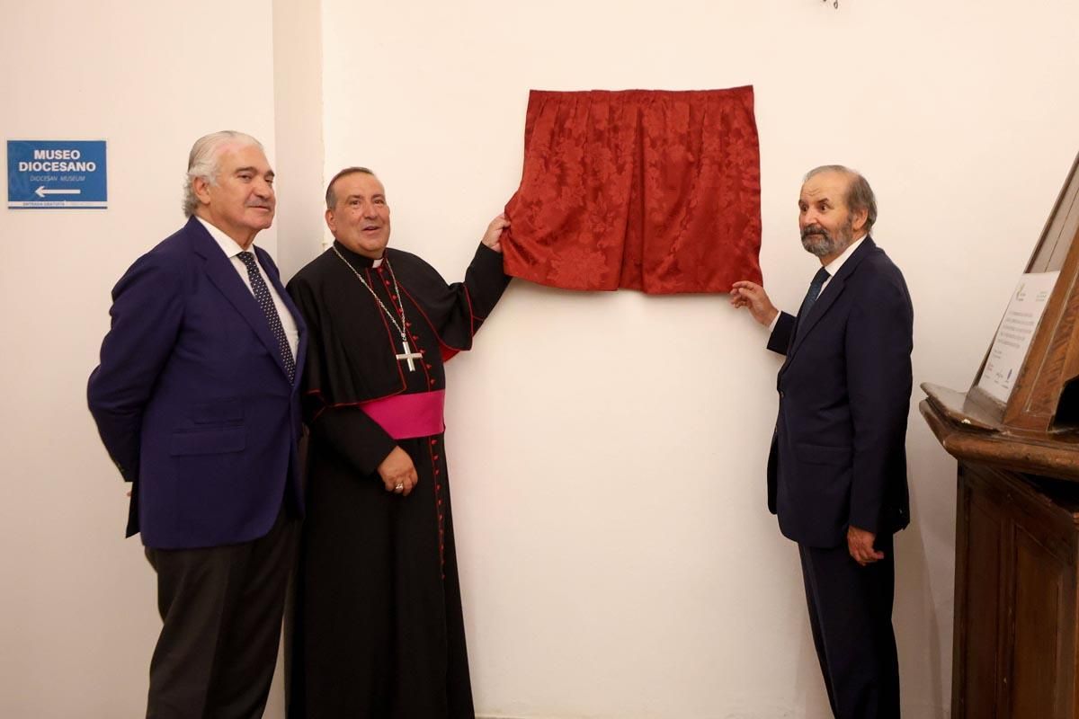 Todas las imágenes de la inauguración de la nueva iluminación de la Catedral de Ibiza