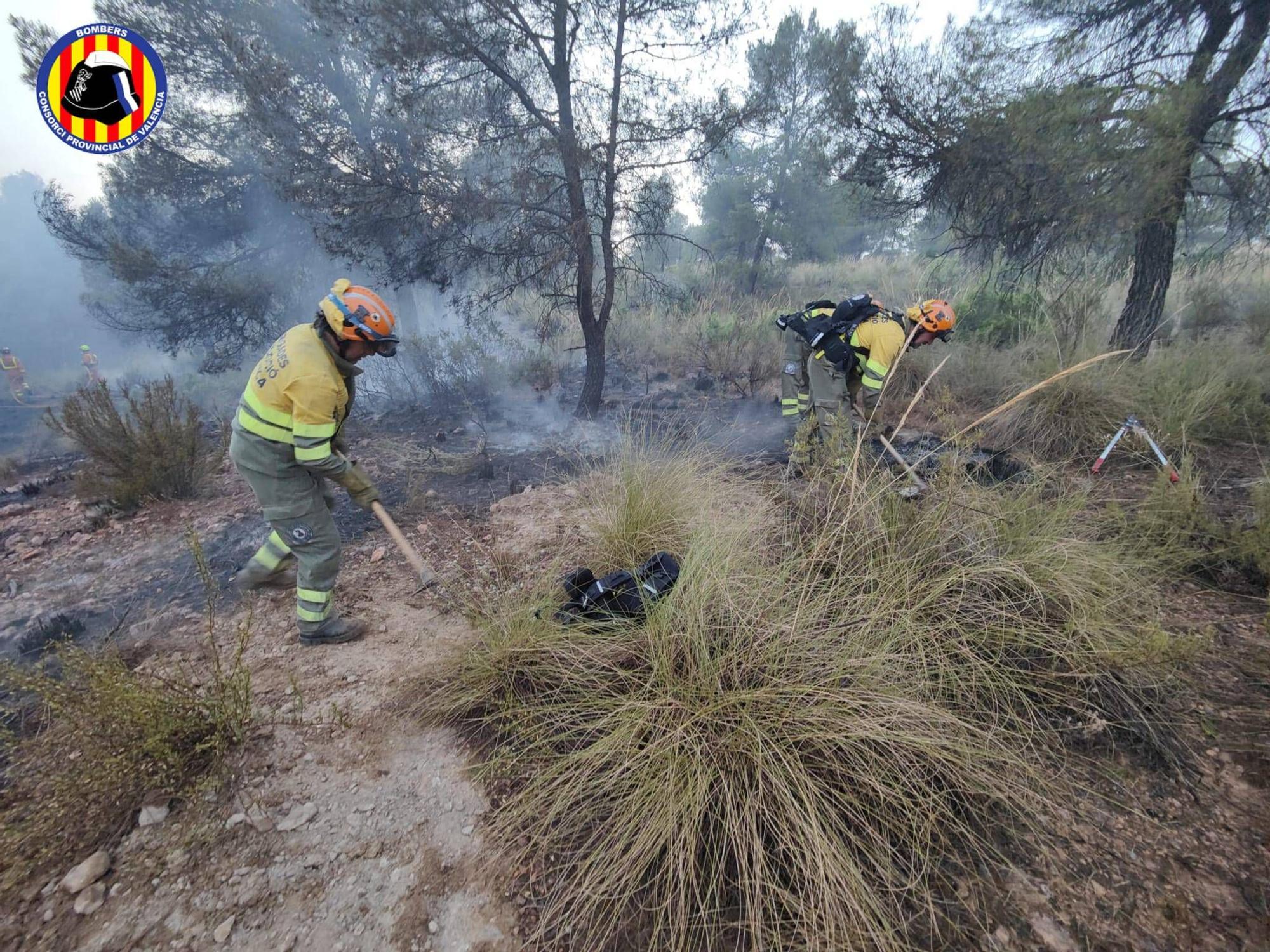 Incendio forestal en Venta del Moro