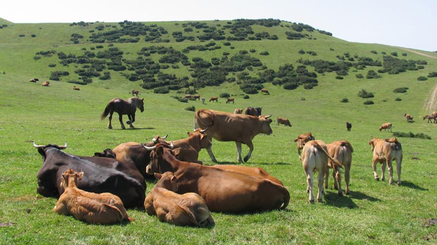 Aller, una joya asturiana vestida de verde y carbón: las rutas y lugares que no te puedes perder