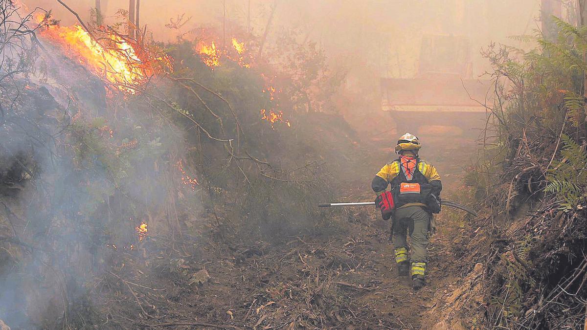 Un brigadista en las tareas de  extinción del fuego declarado en Meaño.