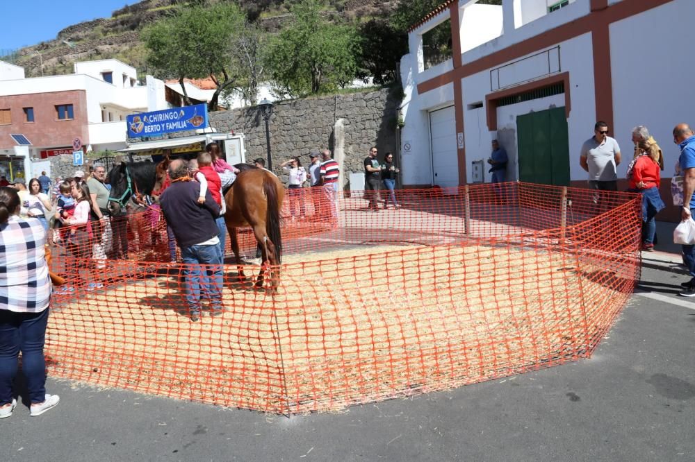 Feria de las Tradiciones en Artenara