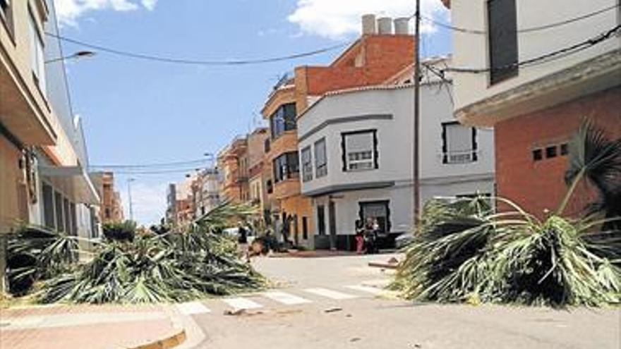 La Vilavella tala 13 palmeras del Camí Rel
