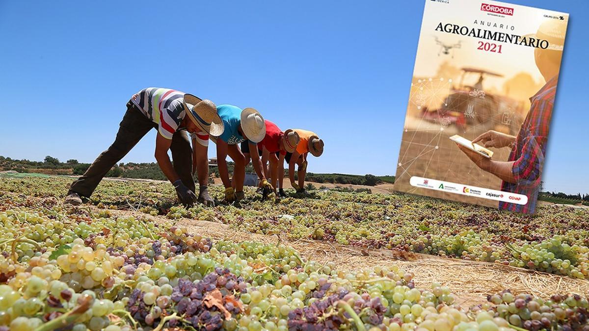 El 'Anuario Agroalimentario' de Diario CÓRDOBA se presenta este jueves.