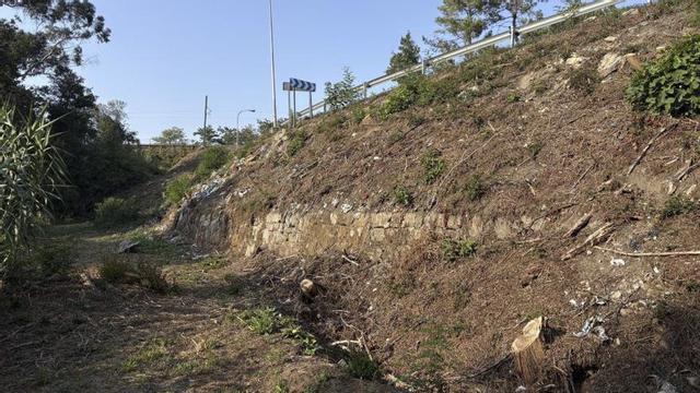 El sendero del Pexegueiro, tras la retirada de la basura por una vecina.