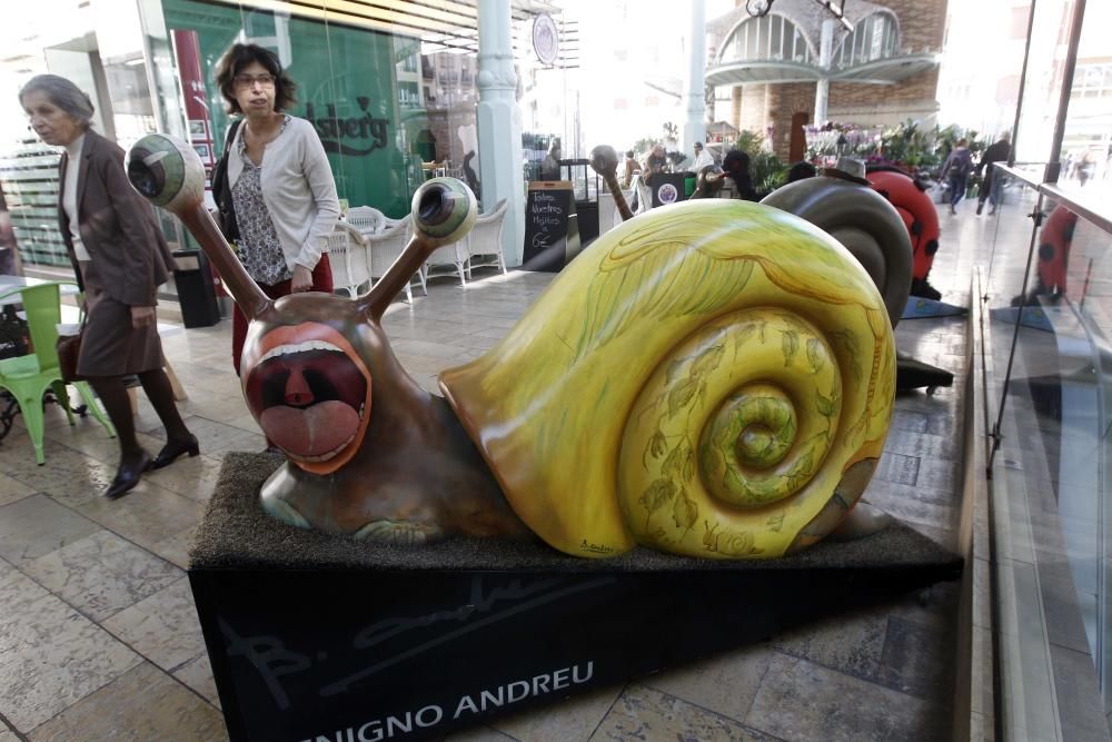 Exposición de caracoles gigantes en el mercado de Colón