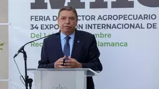 El ministro Planas descarta que se vaya a producir "carestía" de alimentos por la sequía