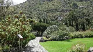 Una mujer herida tras volcar su coche a la altura del Jardín Canario