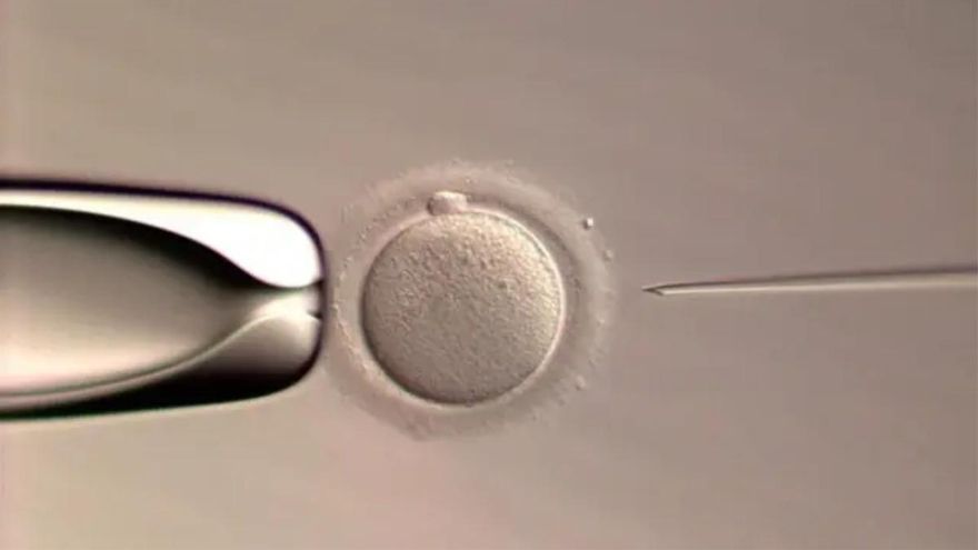 Consiguen el primer nacimiento de un bebé a través de un sistema robótico de inyección de esperma